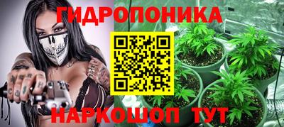 spice Краснознаменск