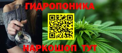 spice Краснознаменск