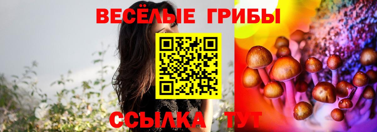 Галлюциногенные грибы Cubensis Энгельс